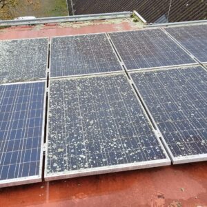 Drones Solar Panel Cleaning