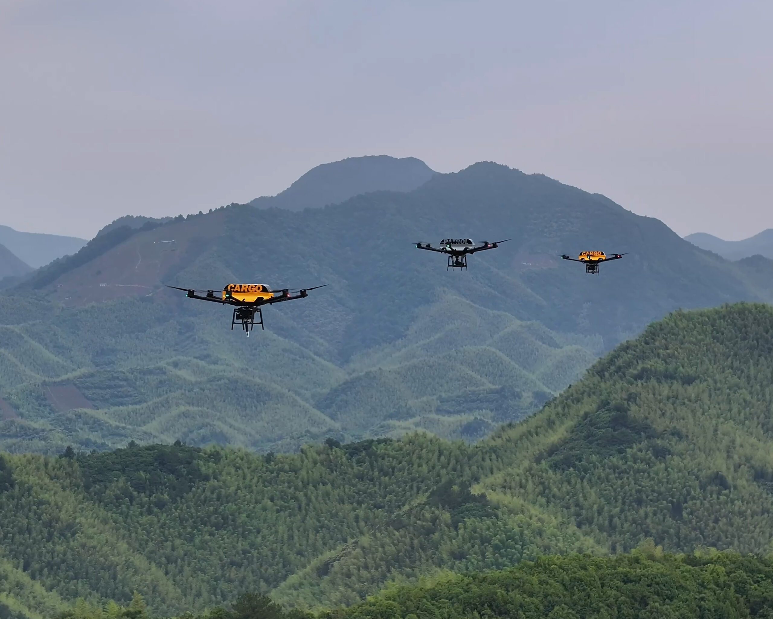 Autonomous Drone Dock System