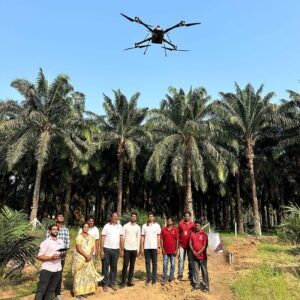 Oil Palm drone survey